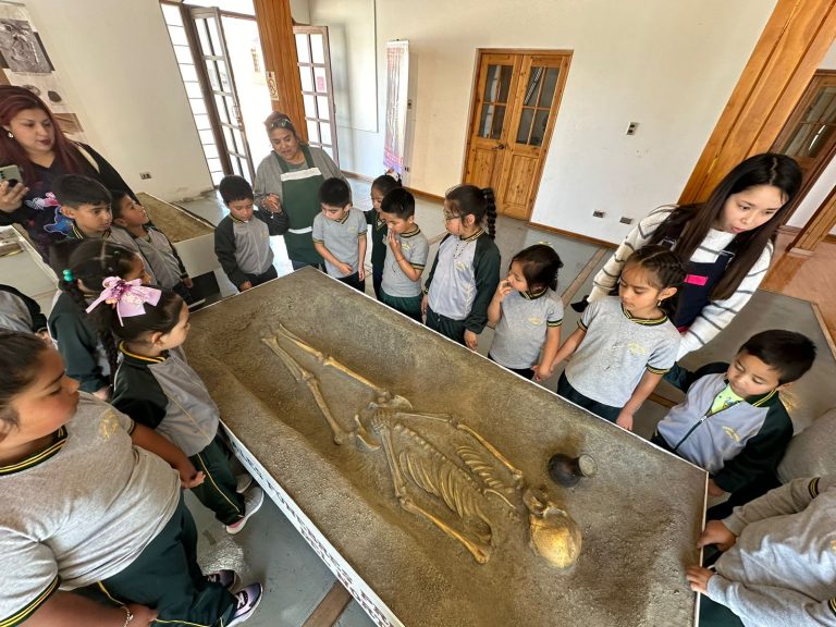 Museo del Limarí inaugura muestra educativa con réplicas exactas de tumbas y ajuares funerarios