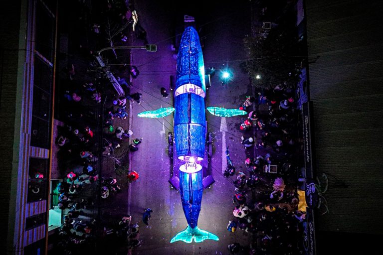Una ballena gigante de 12 metros transformará las calles de Ovalle en un océano azul profundo